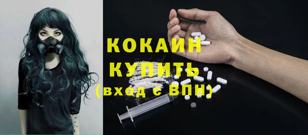 тгк Магас