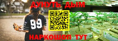 Альфа ПВП Кингисепп