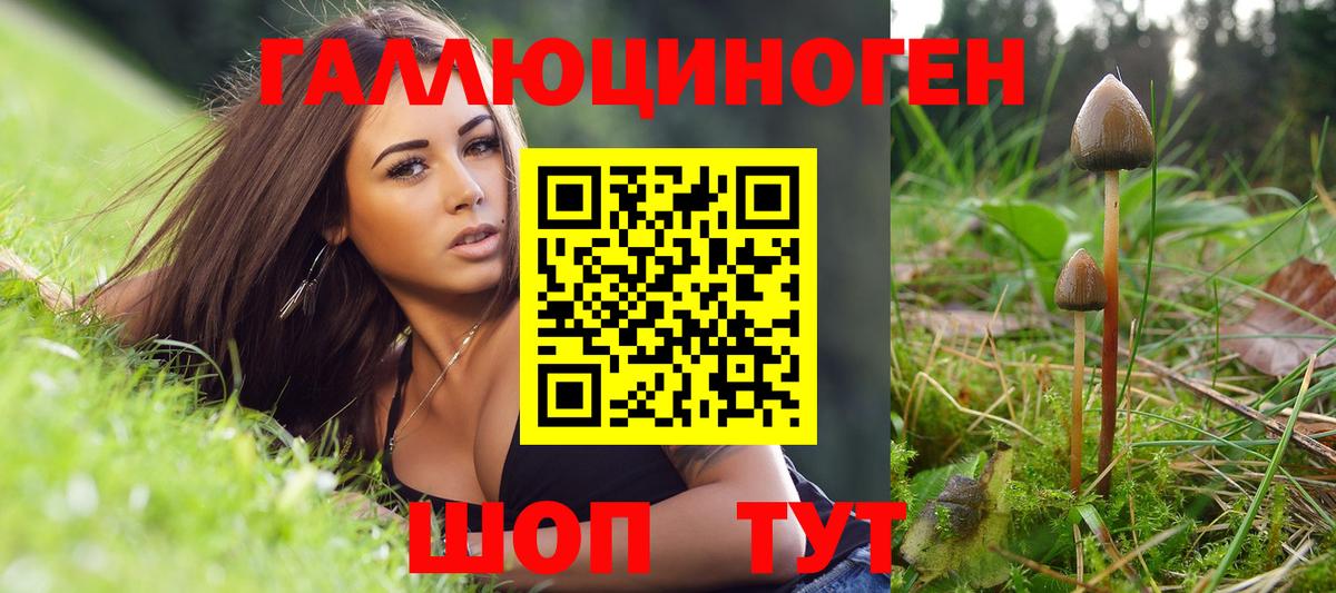 МЕФ   Экстази  Альфа ПВП СОЛЬ кристаллы  МЕФ кристаллы  ГАШ  ГАШ  Мценск  Каннабис 