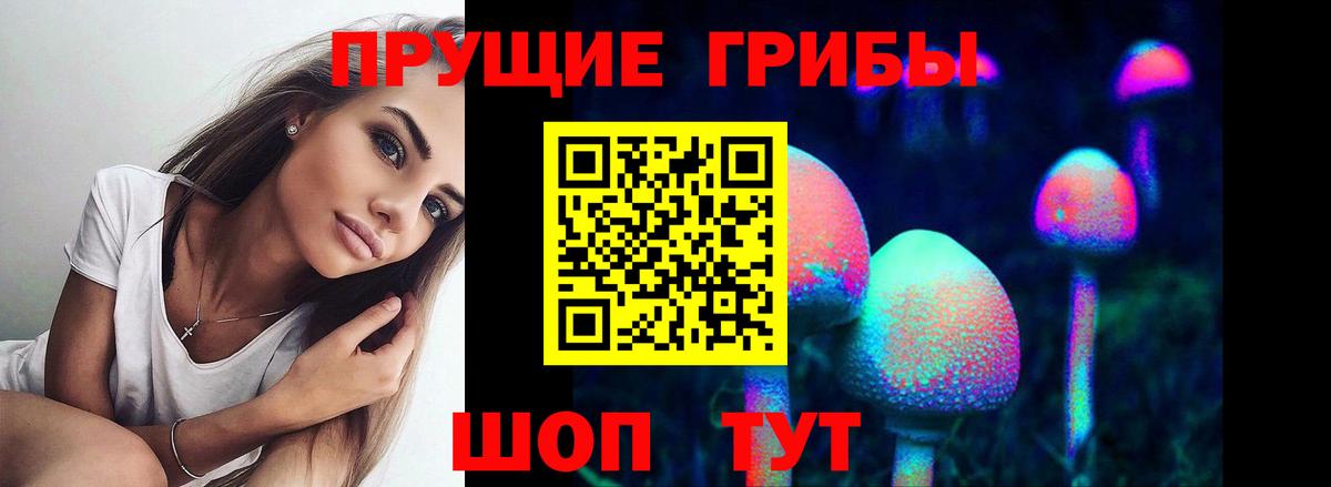 Псилоцибиновые грибы Cubensis Мценск